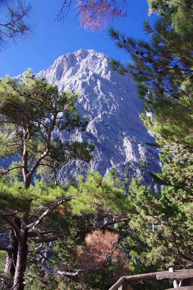 Descente dans les gorges de Samaria (Φαράγγι Σαμαριάς). Le vendredi 15 août 2014