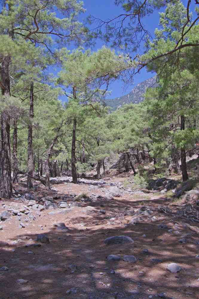 Pause midi dans les gorges de Samaria (Φαράγγι Σαμαριάς). Le vendredi 15 août 2014