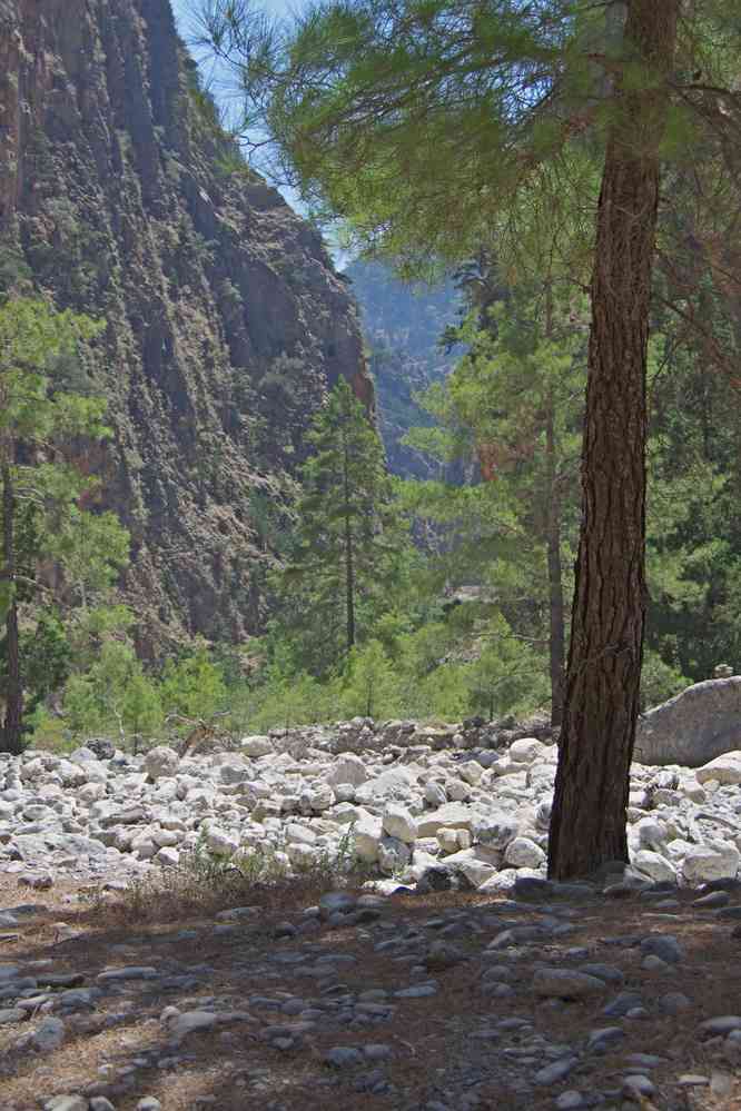 Gorges de Samaria (Φαράγγι Σαμαριάς). Le vendredi 15 août 2014