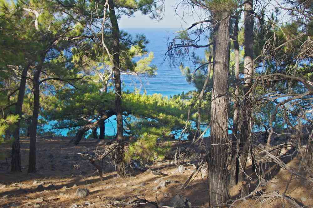 Après la plage Saint-Paul. Le samedi 16 août 2014