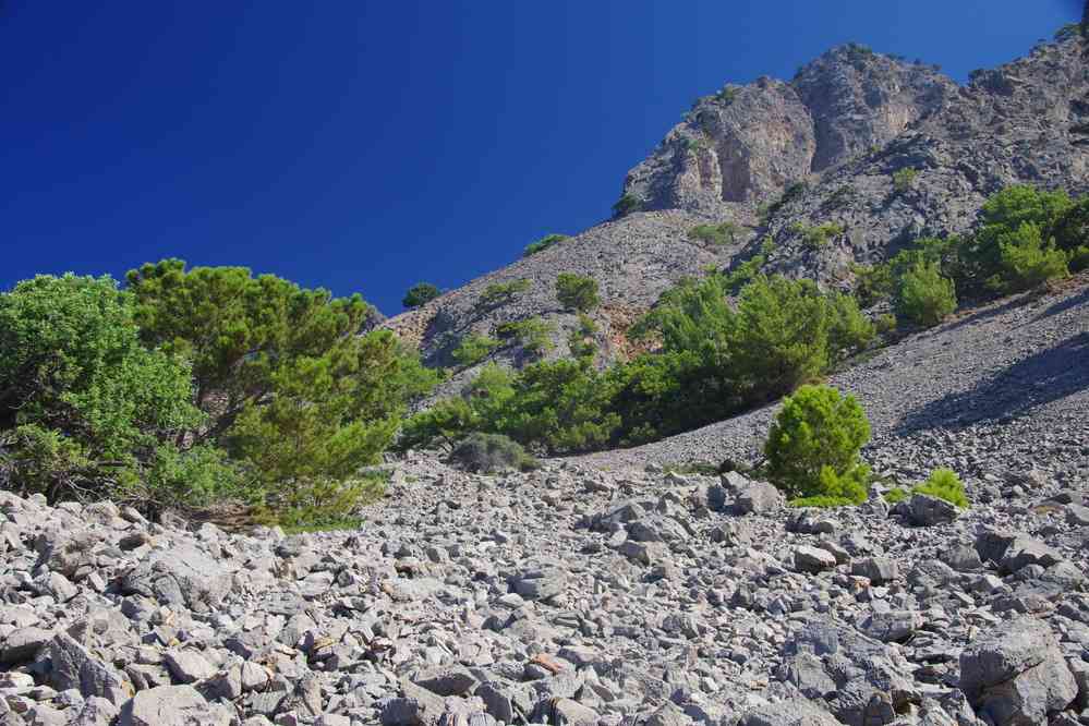 Falaise rocheuse où nichent des vautours. Le samedi 16 août 2014