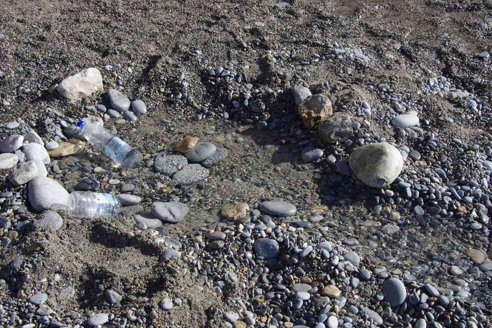 Un source sur la plage : incroyable !. Le dimanche 17 août 2014