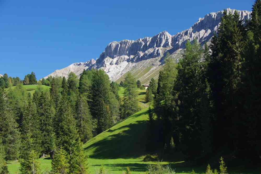 Montée vers Gampenalm. Le dimanche 30 août 2015