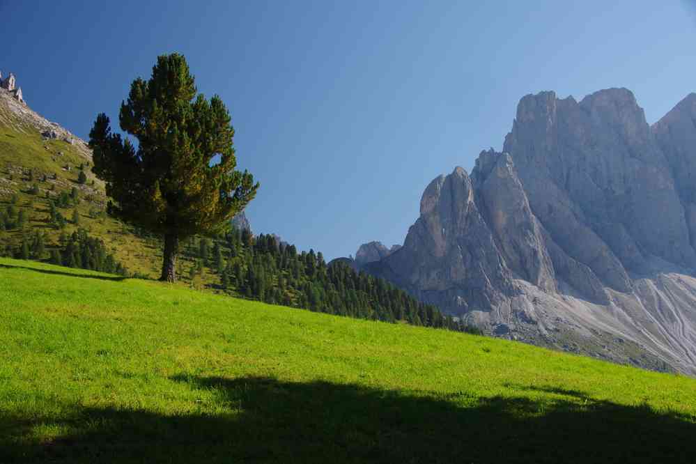 Montée vers Gampenalm. Vue sur le Geislergruppe. Le dimanche 30 août 2015