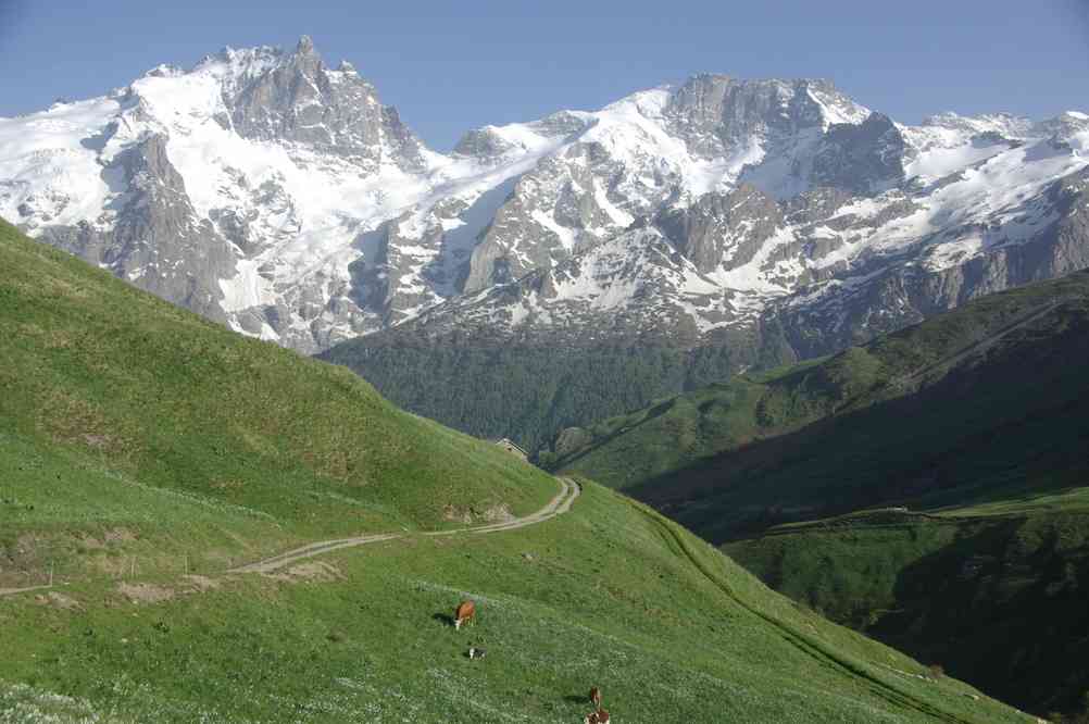 Près du Rivet de la Cime. Le samedi 7 juin 2014