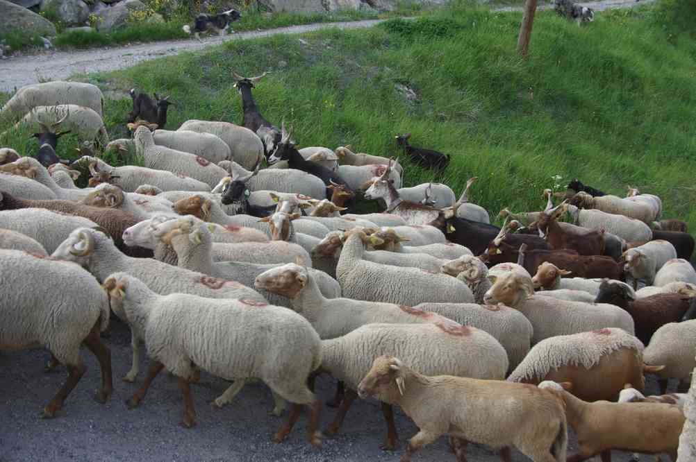 Dommage que l’appareil photo olfactif n’ait pas été inventé ! Le dimanche 8 juin 2014