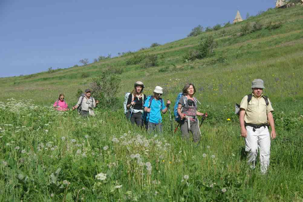Dans les prés entre les Terrasses et la Grave. Le lundi 9 juin 2014