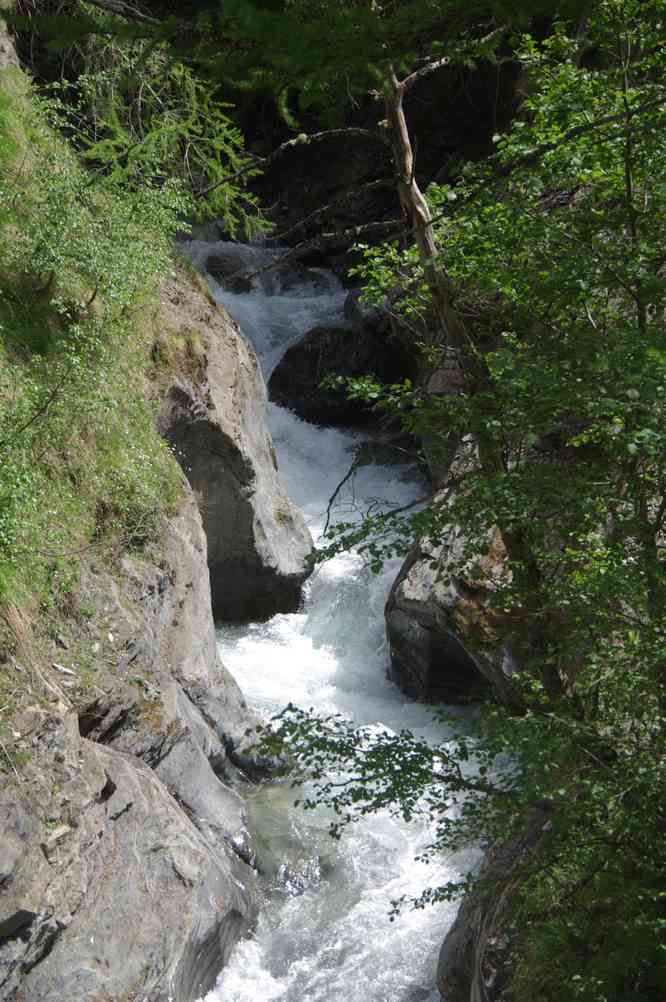 Torrent de l’Abéous. Le lundi 9 juin 2014