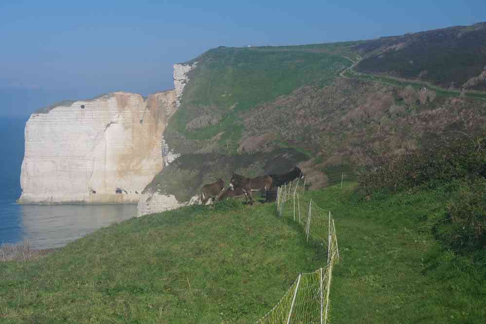 Étretat. Le dimanche 18 octobre 2015