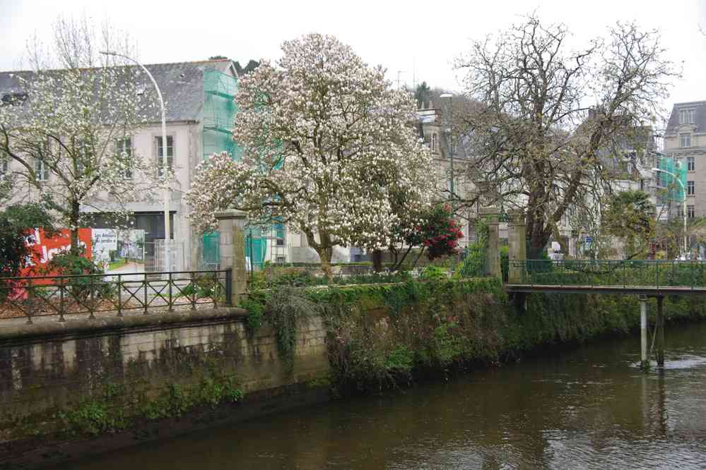 Arbres en fleurs au bord de l’Odet. Le samedi 4 avril 2015