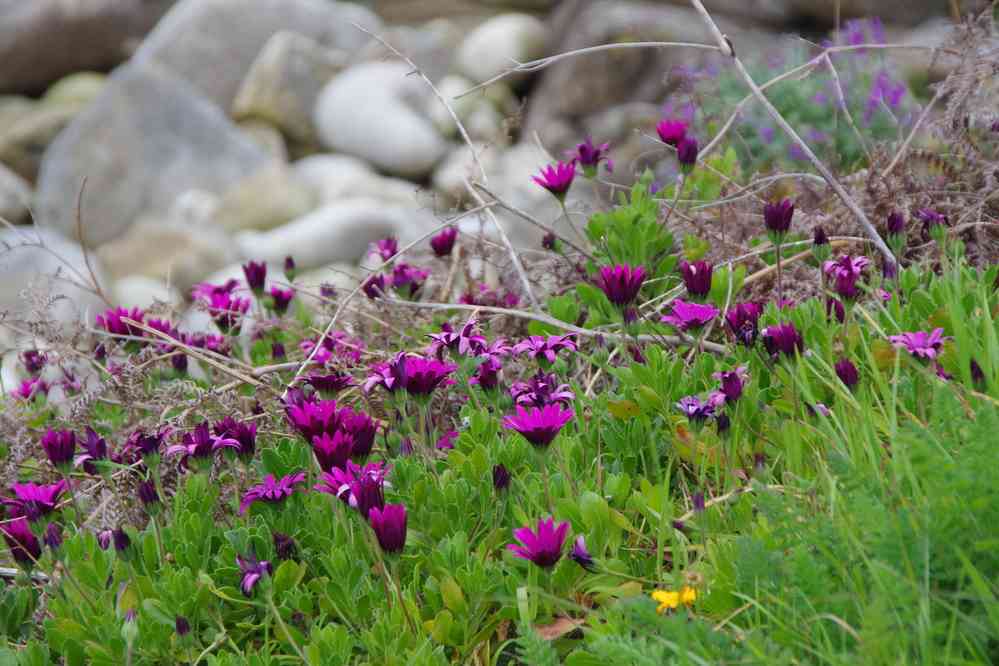 Audierne, Sainte-Évette, sur le littoral. Le samedi 4 avril 2015