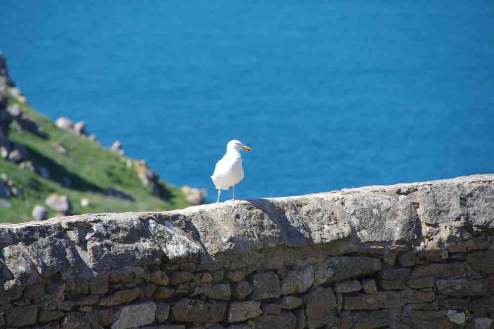 Près de la chapelle St They. Le dimanche 5 avril 2015