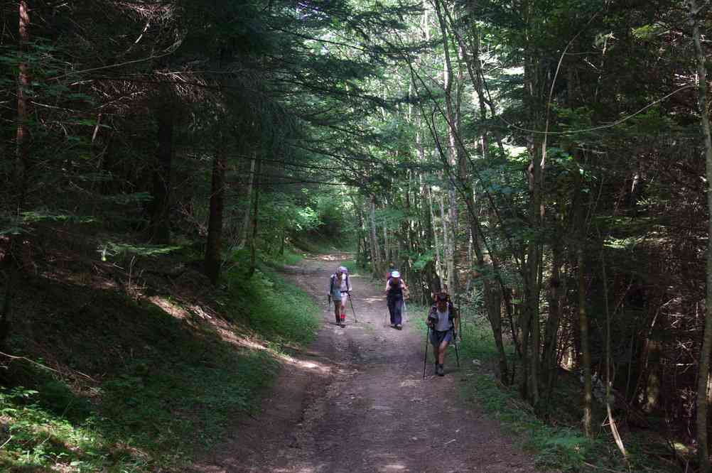 Petit mise en jambes sur les pentes du mont Veyrier. Le mercredi 14 juillet 2010