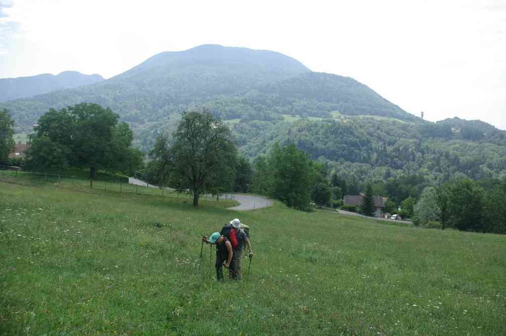 Allons courage ! Encore dix fois ce qu’on a fait et on sera arrivés ! Le mercredi 14 juillet 2010