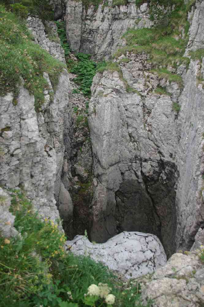 Vaut mieux regarder où on met les pieds... Le jeudi 15 juillet 2010