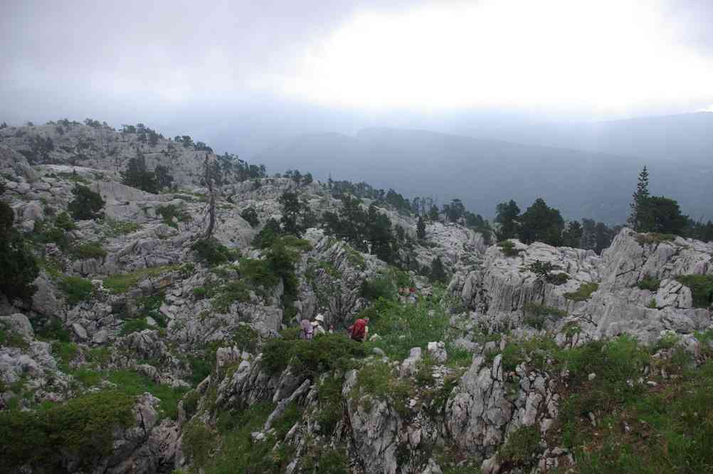 Lapiaz. Le jeudi 15 juillet 2010