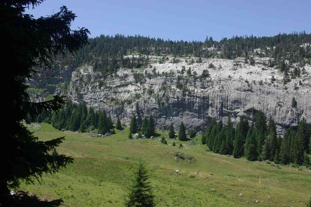 C’est bien aussi pour la grimpe... Le jeudi 15 juillet 2010