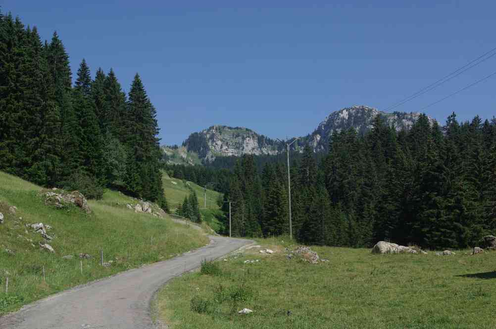Sur le plateau des Glières... Le jeudi 15 juillet 2010