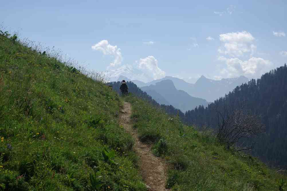 Allez : chaque jour on s’en approche un peu plus ! Le vendredi 16 juillet 2010