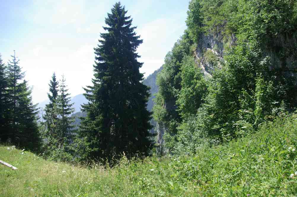 Mais au fait il est où le chemin ? Le vendredi 16 juillet 2010