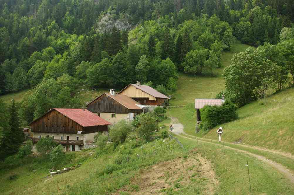 Courage, on est bientôt à la moitié ! Le vendredi 16 juillet 2010