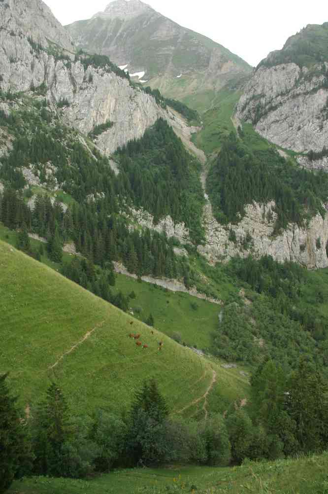 Rien de tel qu’une petite clôture électrique pour se stimuler dans la montée ! Le vendredi 16 juillet 2010