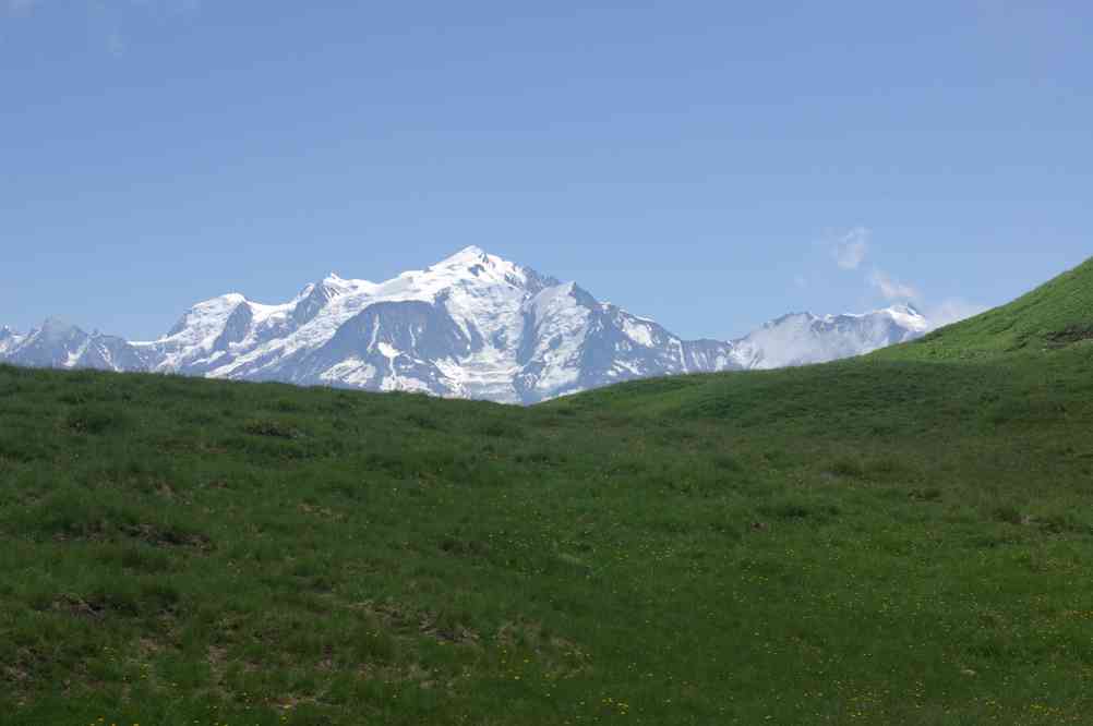 Pique-nique de rêve... Le dimanche 18 juillet 2010