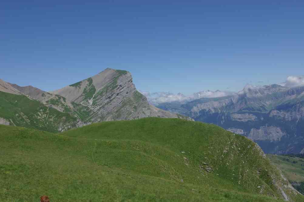 L’arrête de la Besse... Le dimanche 18 juillet 2010