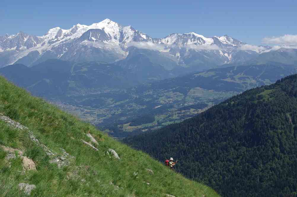 C’est pareil mais c’est toujours différent... Le dimanche 18 juillet 2010