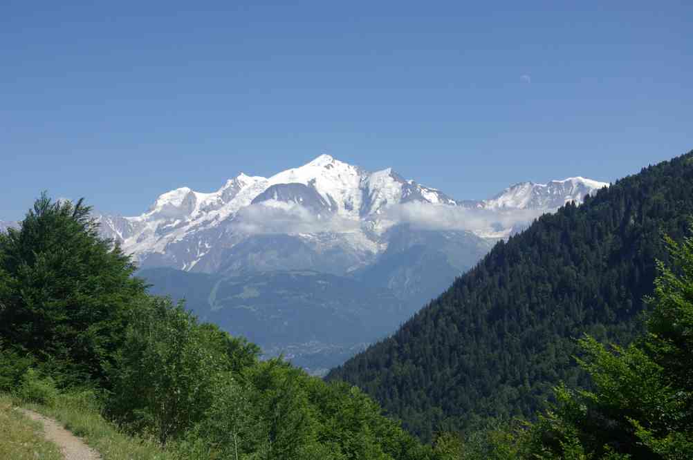 J’en ai peut-être laissé un peu beaucoup... mais bon ! Le dimanche 18 juillet 2010