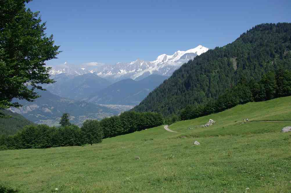 J’en ai peut-être laissé un peu beaucoup... mais bon ! Le dimanche 18 juillet 2010