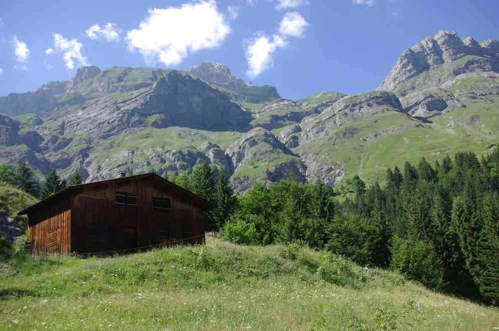 C’est de là haut qu’on vient... Le dimanche 18 juillet 2010