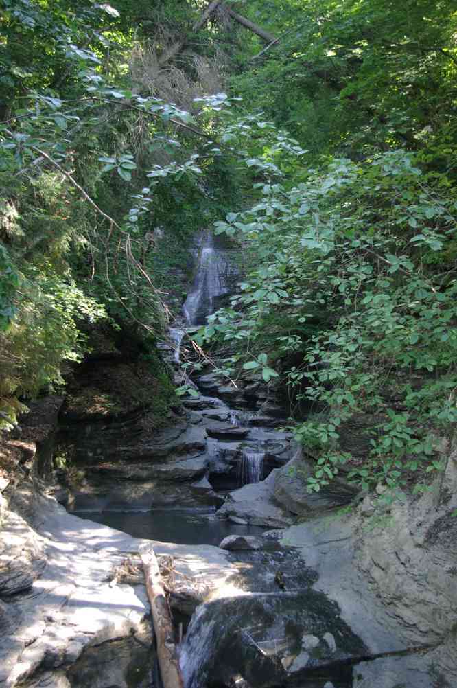 Certaines s’y sont baignées... au grand plaisir de quelques passants ! Le dimanche 18 juillet 2010