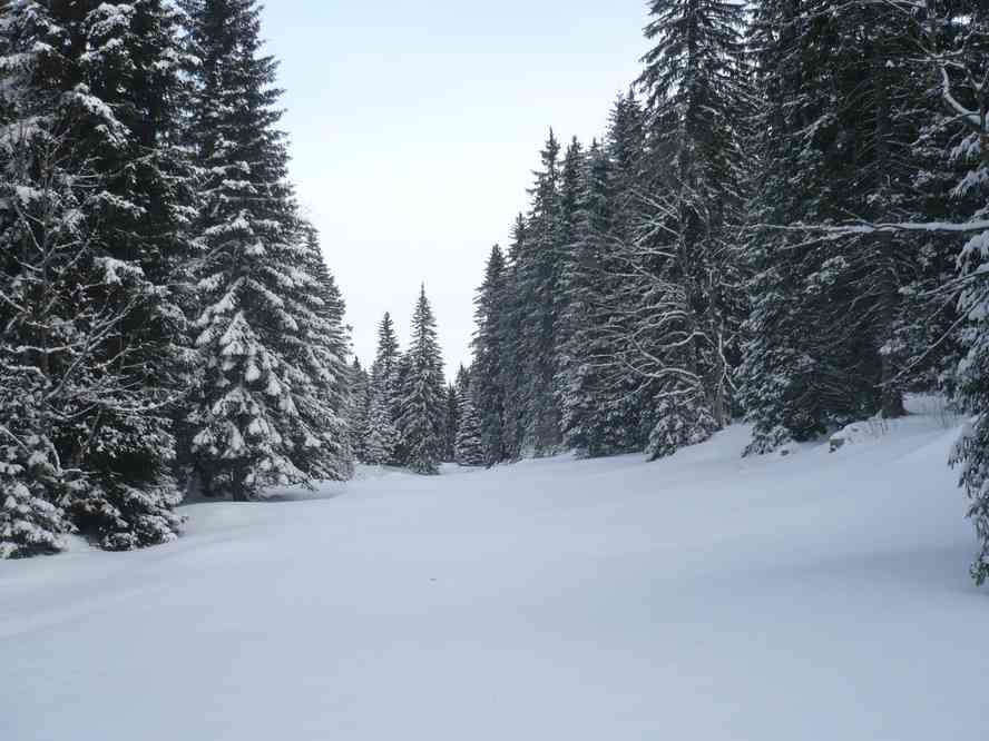 Champ de neige immaculé. Le lundi 27 décembre 2010