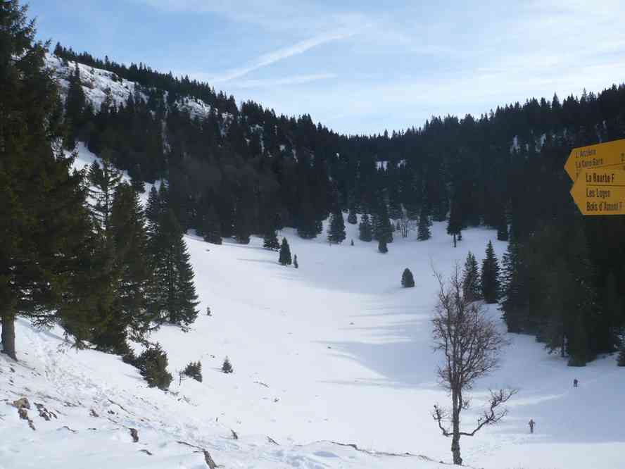 Une doline est une forme caractéristique d’érosion des calcaires en contexte karstique. Le mercredi 29 décembre 2010