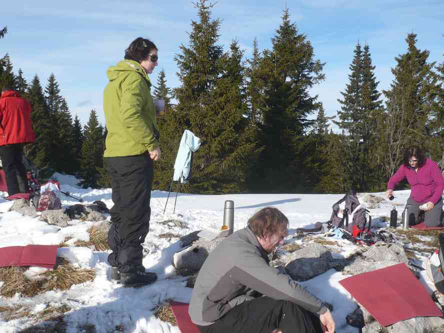 Agréable pique-nique au soleil. Le mercredi 29 décembre 2010
