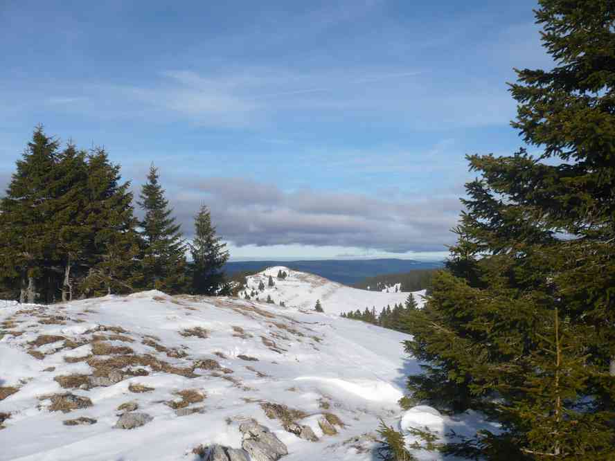 Sur la crête du Noirmont. Le mercredi 29 décembre 2010