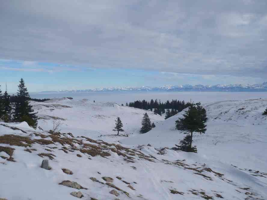 Un dernier effort avant la Dôle... Le jeudi 30 décembre 2010