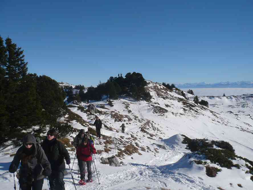 En direction du Crêt de la Neige (mais au fait, lequel est le vrai sommet ?). Le samedi 1ᵉʳ janvier 2011