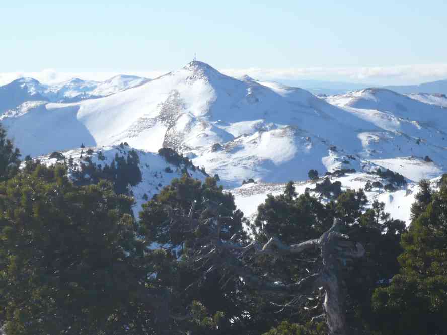 Ca y est ! Nous sommes au sommet du Jura ! Le samedi 1ᵉʳ janvier 2011