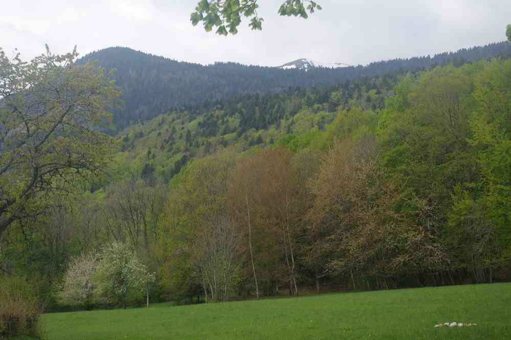 Le Replat, au-dessus de Farges. Le samedi 4 mai 2019