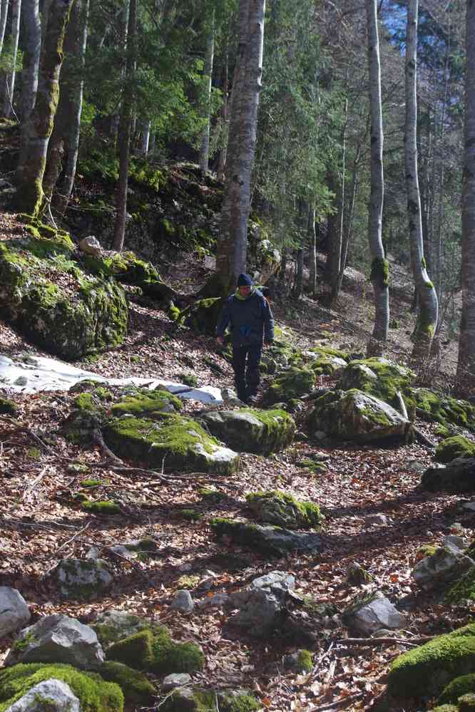 Descente en forêt. Le samedi 4 mai 2019