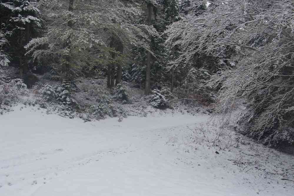 Ambiance de plus en plus hivernale. Le dimanche 5 mai 2019