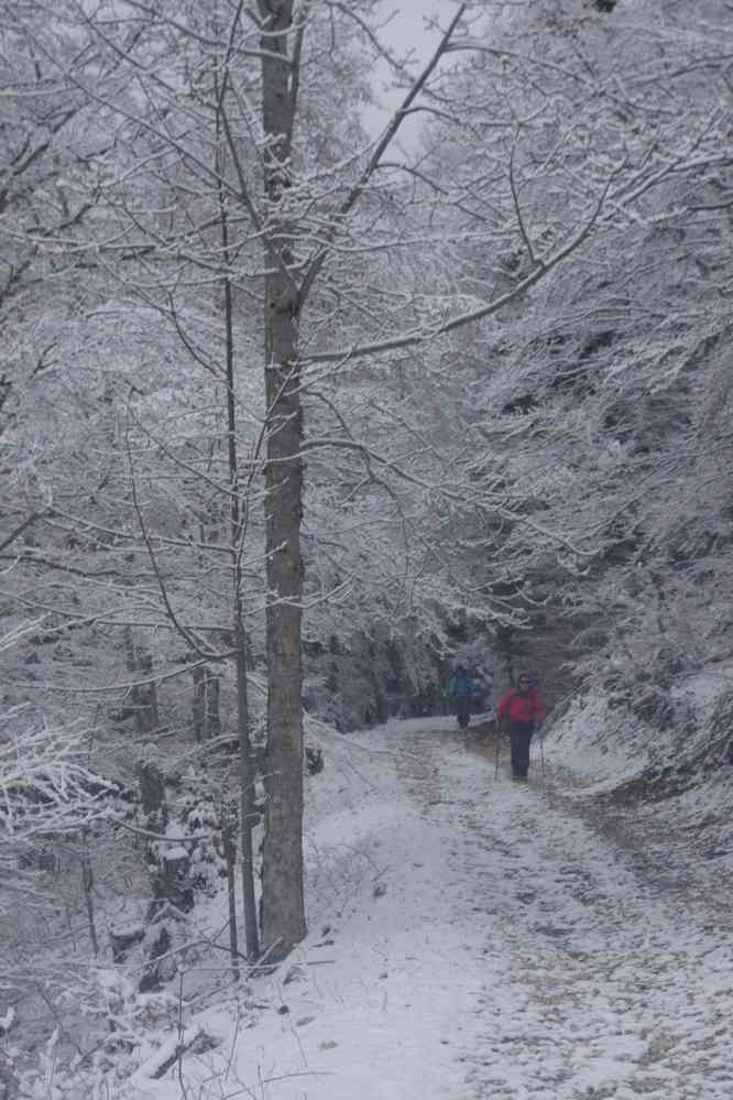 Chacun monte à son rythme. Le dimanche 5 mai 2019