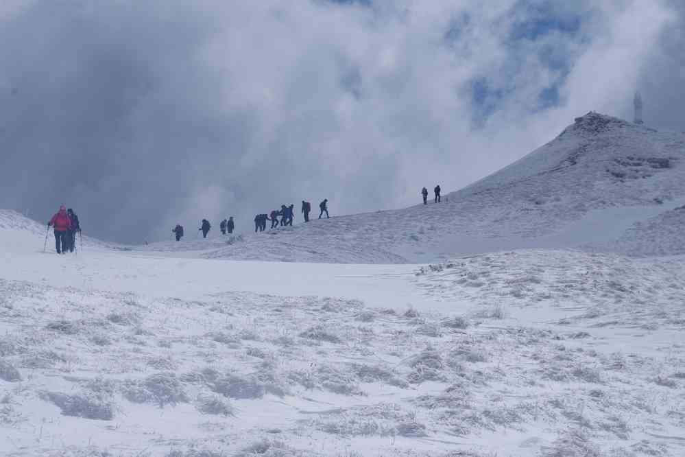 Il y a pire que les Parisiens : les touristes japonais ! Eux ne reculent devant rien. Le dimanche 5 mai 2019