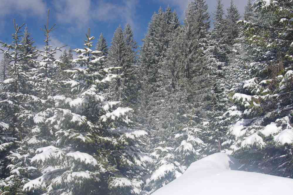 Ambiance hivernale. Le dimanche 5 mai 2019