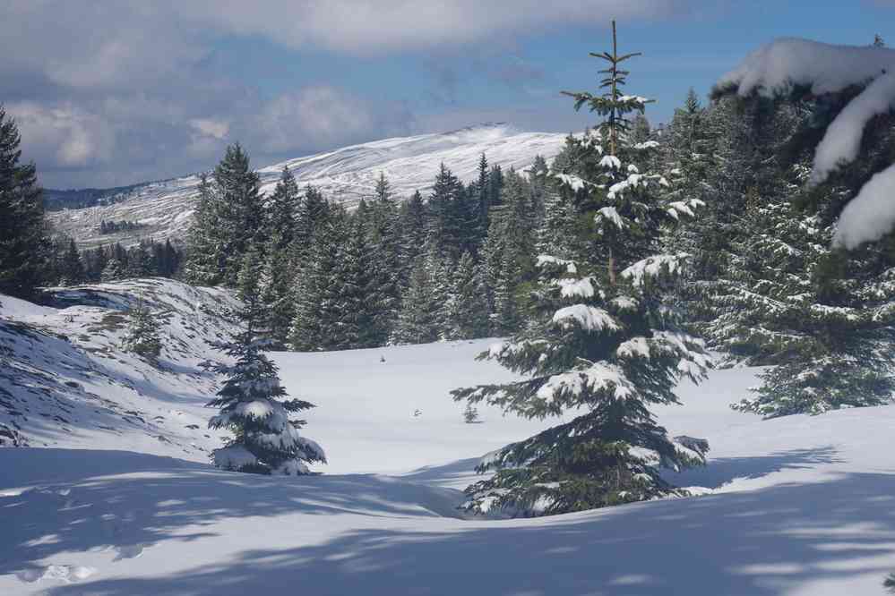 Je me demande comment nous ferions sans raquettes. Le dimanche 5 mai 2019