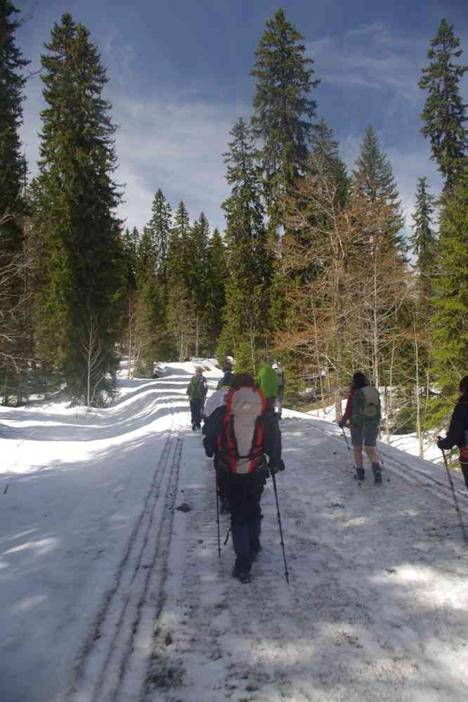 Sortie ski de fond sans les skis de fond ! Le mardi 7 mai 2019