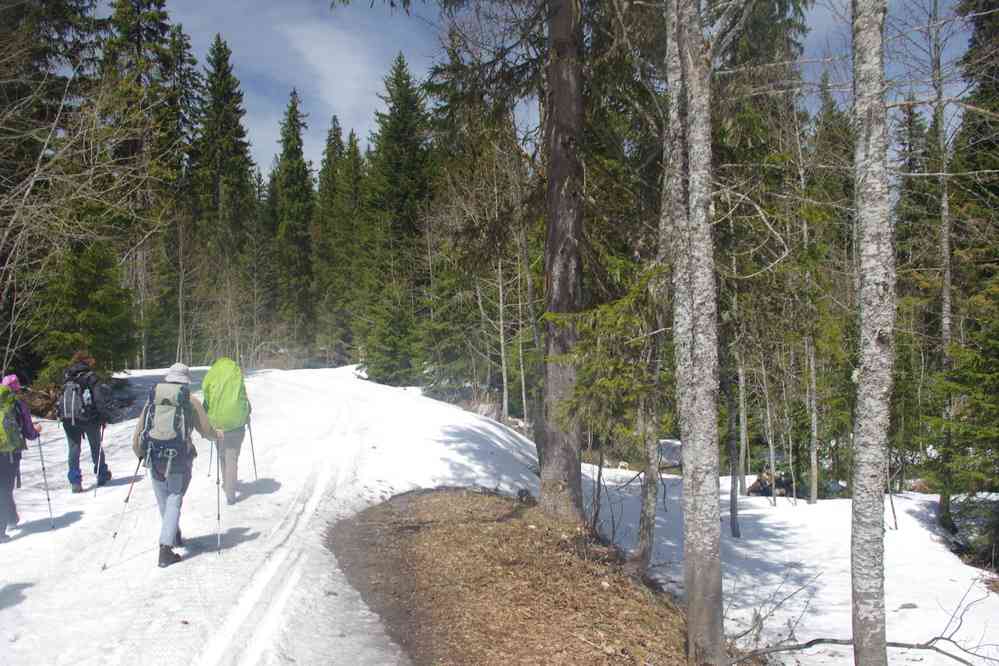 Forêt de Massacre. Le mardi 7 mai 2019