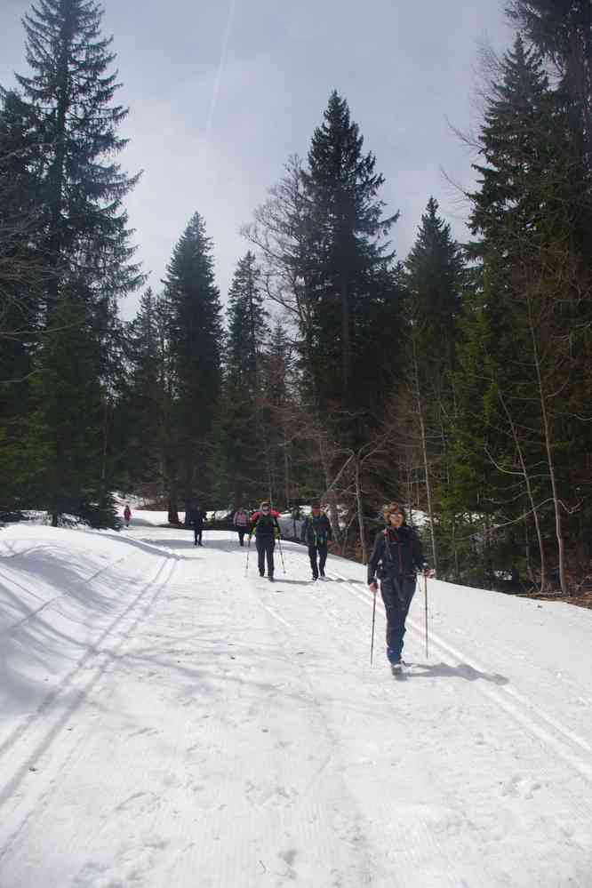 Les bâtons entretiennent l’illusion. Le mardi 7 mai 2019